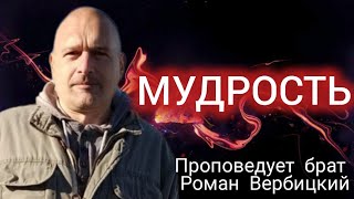 № 30⚡️Мудрость⚡ЗРИ В КОРЕНЬ⚡️25.02.23⚡Брат Роман