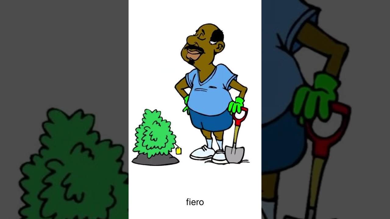 Learn Vocabulary in Italian to German with pictures and pronunciation!