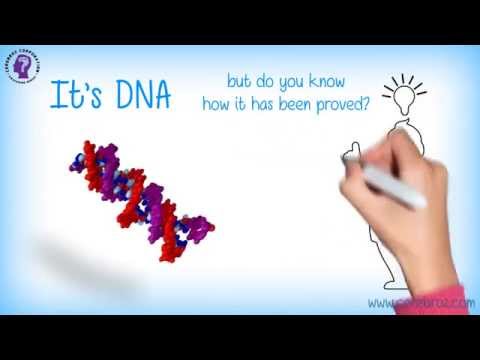 Griffith's Experiment/Bacterial Transformation