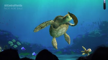 Turtle Talk with Crush | The Living Seas at Epcot 4K