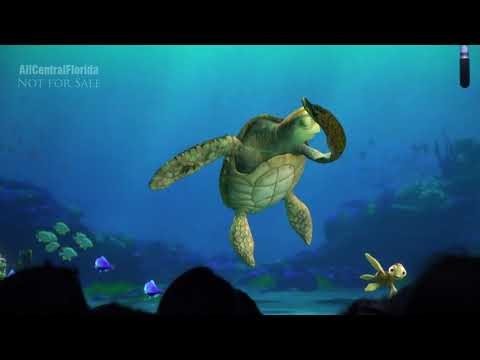 turtle-talk-with-crush-|-the-living-seas-at-epcot-4k