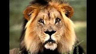Story picture 42 Sharing Together Romans 12.13.avi