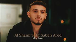 Al Shami Tahet Sabeh Ared _ تحت سابع ارض _ Yahea Remix ( after sky)