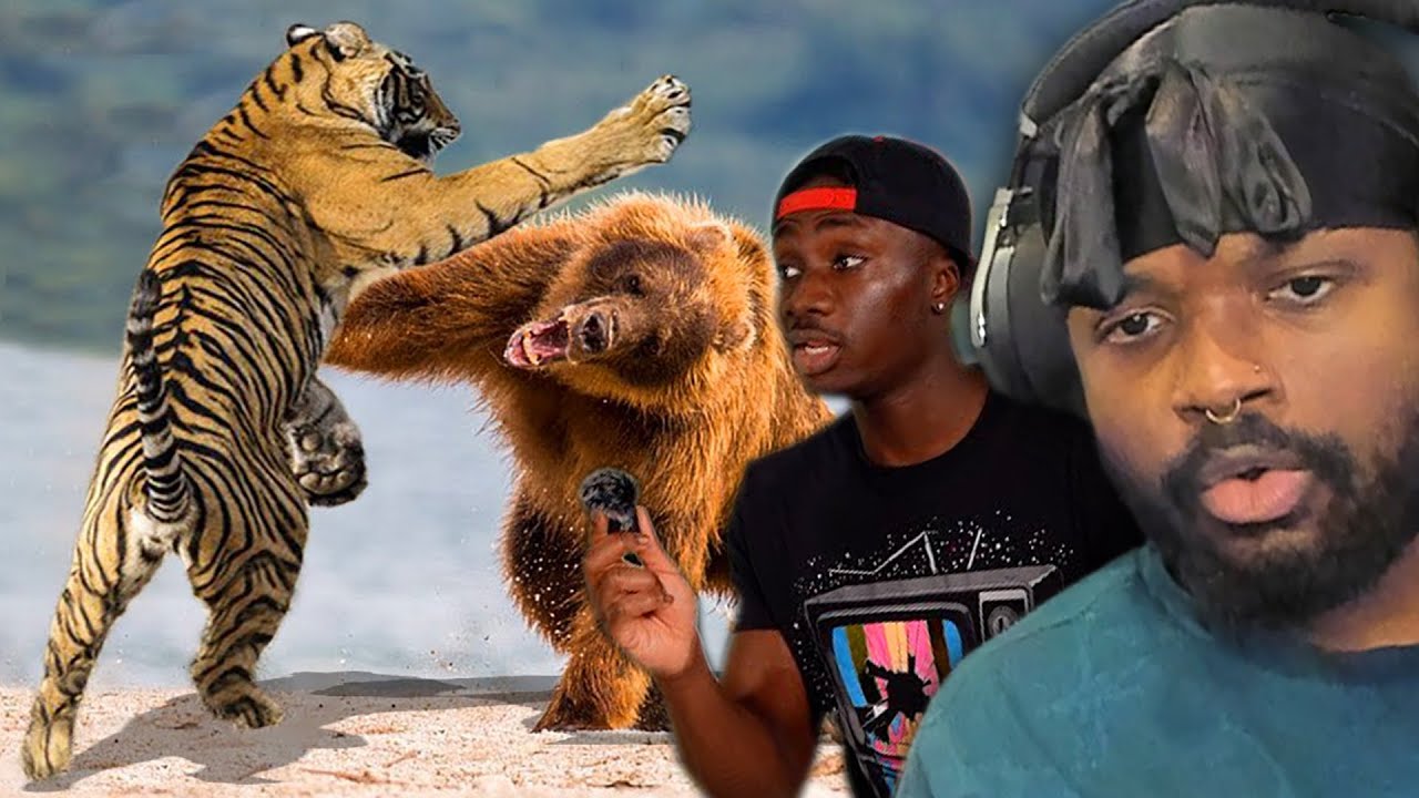 ЖИВОТНЫЕ, КОТОРЫЕ ИЗ ПОКОЛЕНИЙ ПОЛУЧАЮТ ГОВЯДИНУ | Случайная географическая реакция