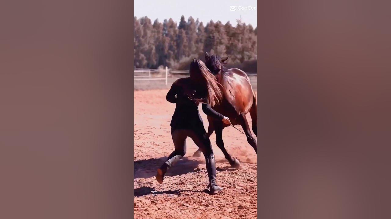 Horseভাইরাল ঘোড়াhorse videoshorse videos dancinghorse ridinghorse