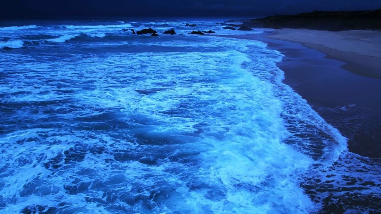 Ocean Waves for Sleeping, Relaxing & Studying | No Music ; relaxing ocean waves