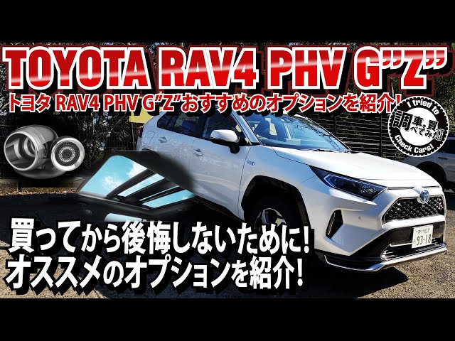 トヨタ RAV4 LEDサイドライト ナンバーフレーム付き 純正オプション お