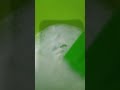Tutorial cara membuat slime