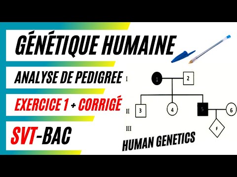 Vidéo: Comment analyser un pedigree ?