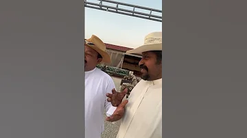 انظروا من أتى إلى هنا مضحكة اكسبلور كوميدي دويتو تصميمي تصميم فيديوهات ترند لايك Funny 