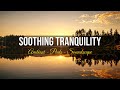 Peaceful Night Sounds for Stress Relief | DeepCalm Ambient Vol. 014