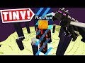 Minecraft BUT IN A TINY BARRIER! (Part 4)