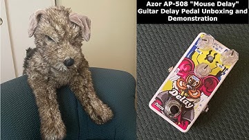 Azor AP-508 "Mouse Delay" Guitar Delay Pedal - Part 1: Unboxing and Demonstration