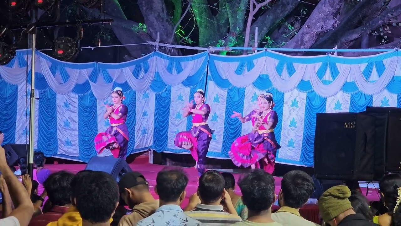 South Indian Classical Dance | Bharatanatyam Performance | Indian Culture & Heritage