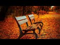 Calming music  relaxing  stress relief instrumental music track  free music
