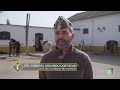 Exhibición sementales del Centro Militar de cría de caballos en Écija