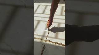 💥Tile Cleaning for Epoxy Grout ✅️ #tile #epoxy #grouting #blower