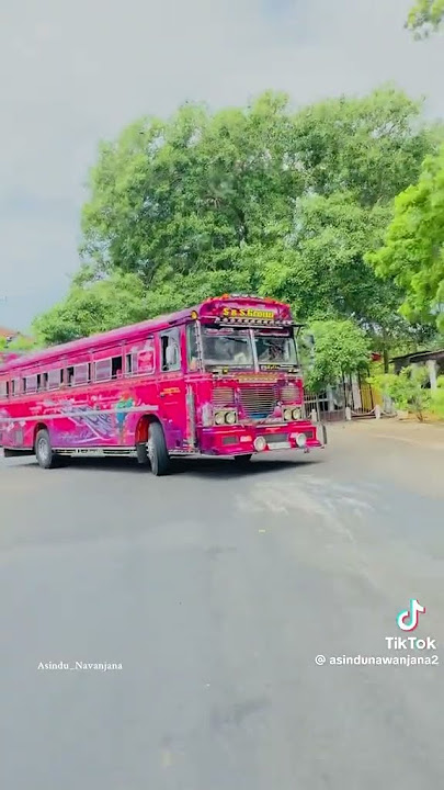 රැජින 💗✌️ #fvpシ #automobile #shorts #newshorts #bus #busdj #fouryou #dute #trend