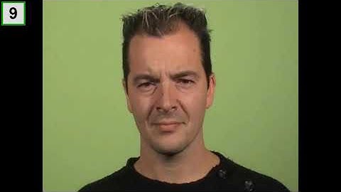 Promaps Video Identification Parade Witness Viewing