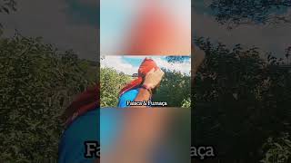 Faisca & Fumaça Trem🚆🚆 #shortsvideo #humor #piadasrapidas