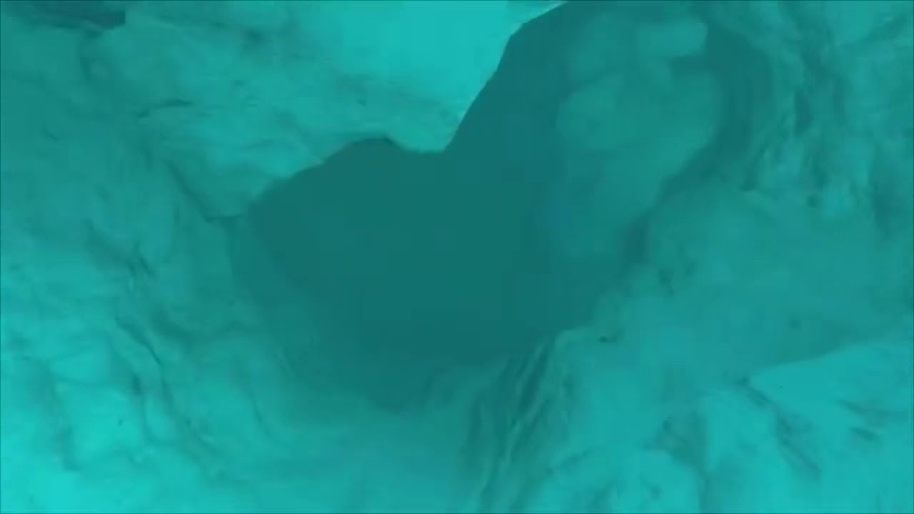 Bo4 Zombies - “Tag Der Toten” Secret Ending! (Alternative Ending Victis crew Escape?)