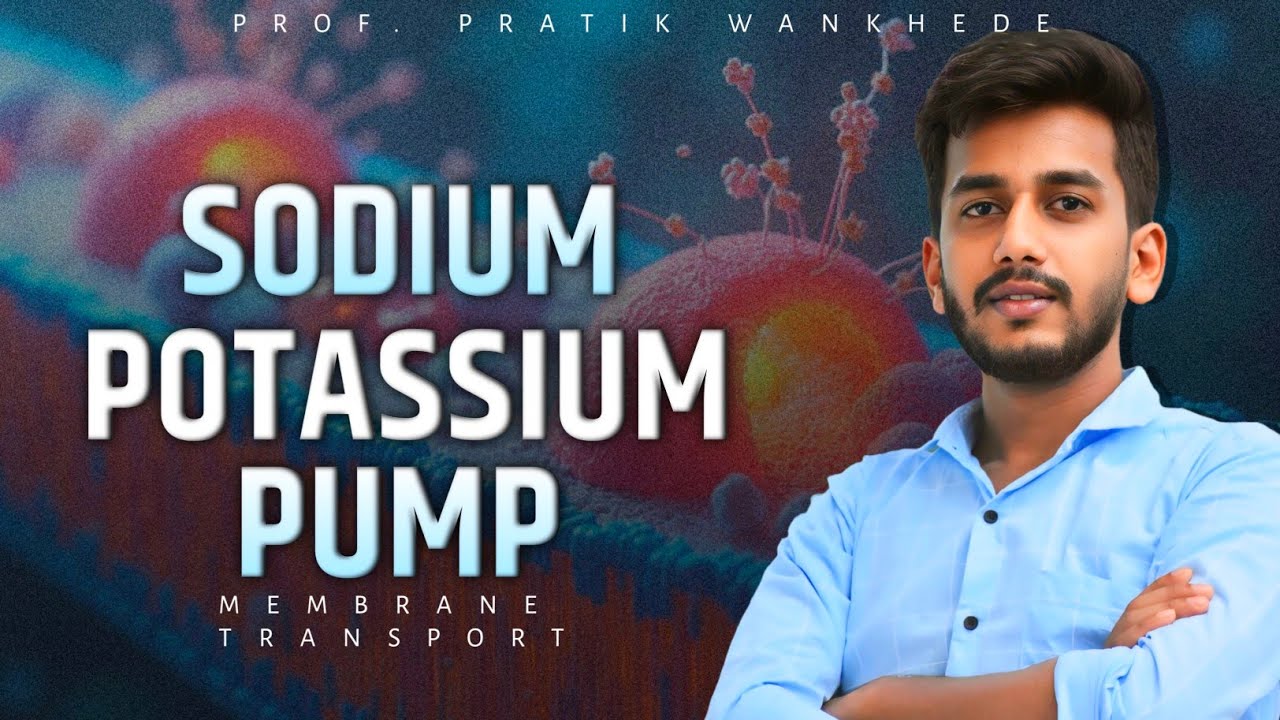 Sodium Potassium Pump Working Mechanism | Membrane Transport | Hindi | Prof. Pratik Wankhede