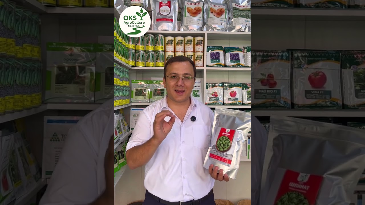 Urug’lar уруғлар   #agro #уруғлар  . Oks Agro Aqlbek Ikromov +998772102880