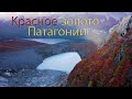 Красное золото Патагонии (4K). Red gold of Patagonia.