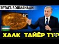 Видео по запросу "карши об хаво 10 кунлик"