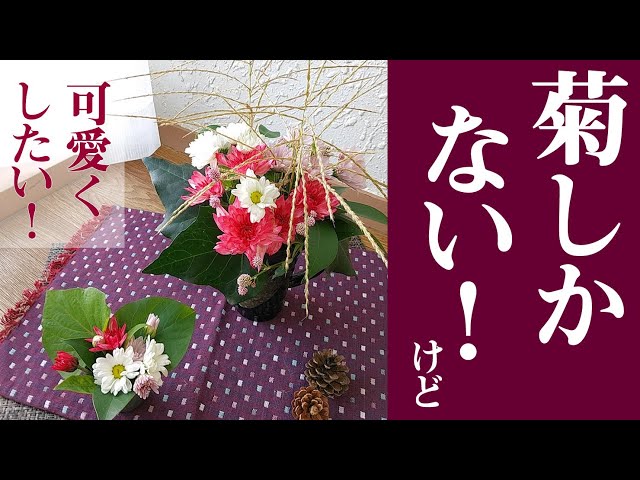 3分フラワーアレンジ】菊を可愛く秋らしく飾る花屋さんのコツ - YouTube