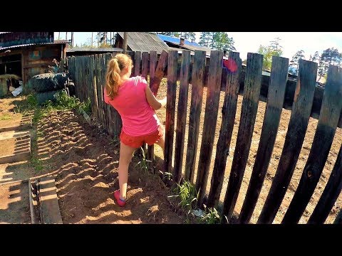 Дела житейские. Началось в деревне лето