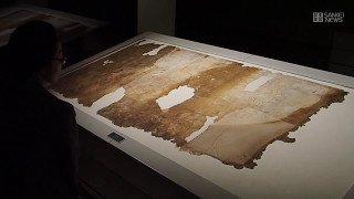 キトラ古墳壁画の「青龍」と「寅」を公開