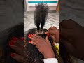 Hairstyles Tutorial Video For Beginners Youtubevideos Foryourpage Viral Video Braids Trending Hairstyles Tutorial Video For Beginners Youtubevideos Foryourpage Viral Video Braids Trending