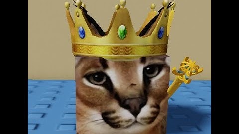 How to Find "King Floppa" In Find the Floppa Morphs