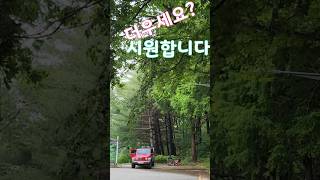 덥쥬?❤️볼륨키우고 들어보세요#차캉스 중 산바람이 시원해요❤️❤️구독좋아요
