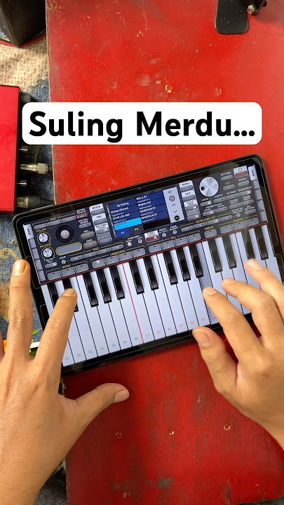 ASIK SEKALI… Suling BAHTERA CINTA #org2024