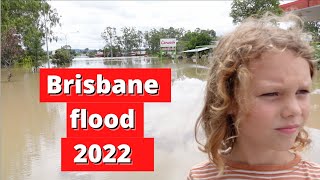 Brisbane floods 2022 by Me and E-man 292 views 2 years ago 24 minutes