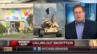 Government vs. private sector over encryption