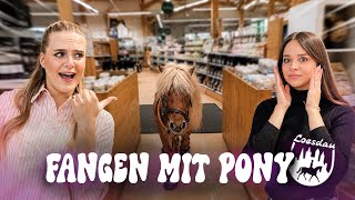 PONY ON THE LOOSE IN LOESDAU🤯 WE'RE PLAYING TAG!