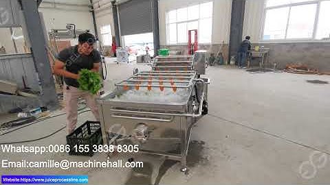 Celery Washing Cleaning Machine For Leafy Vegetable Cleaning