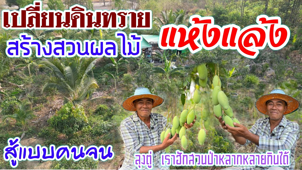 ดินทรายไม่มีน้ำแทบร้องให้ ทำสวนแบบคนจนใจล้วนๆทำได้ไง เราฮักสวนป่าหลากหลายกินได้ | บ่าวยุทธพาจ้วด