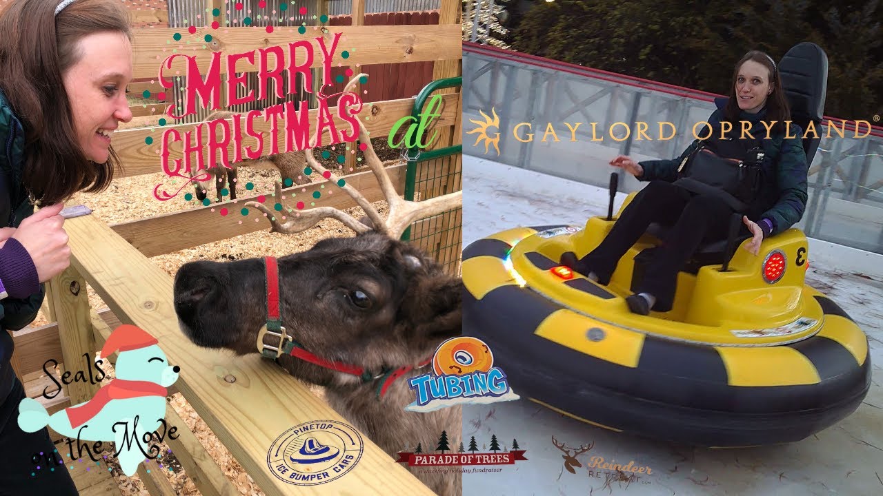 Opryland things to do christmas