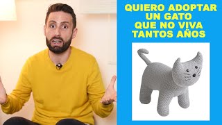 ¿Cuál es el gato que vive menos tiempo? | Persona que quiere adoptar un gato 🤯