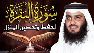 سورة البقرة الشيخ أحمد العجمي القران الكريم مباشر Surat Al-Baqarah Quran Recitation