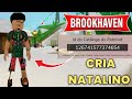 IDEIA DE SKIN CRIA NATALINO NO BROOKHAVEN