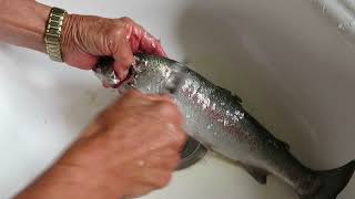 HOW TO SCALE A FISH
