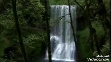 سورة الفاتحة بصوت القارئ مؤيد المزين/ راحة نفسية🌺