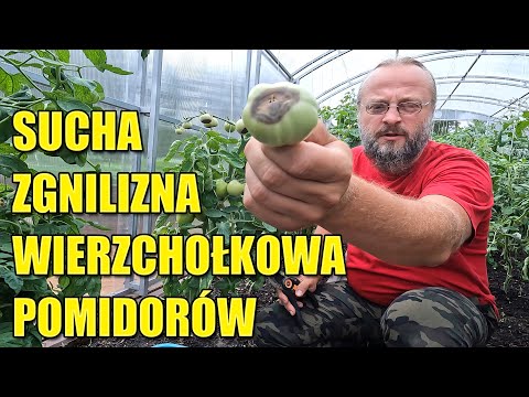 Wideo: Jak przejść do roku na Facebooku: 8 kroków (ze zdjęciami)