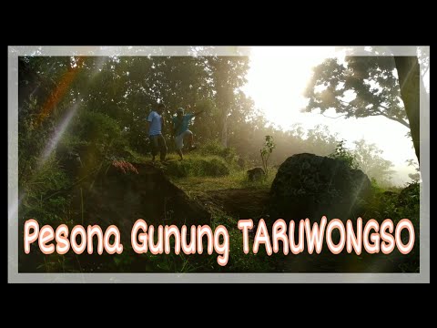 Wisata Gunung Taruwongso