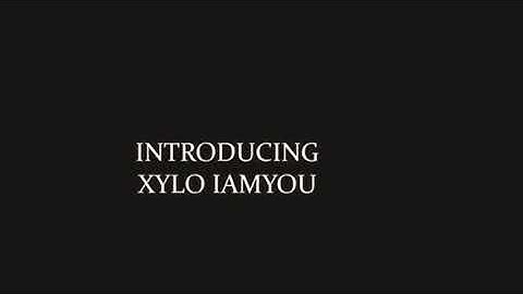 My introduction to clan Xylo